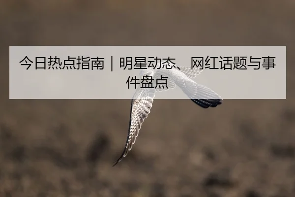 今日热点指南｜明星动态、网红话题与事件盘点 - 51cg1